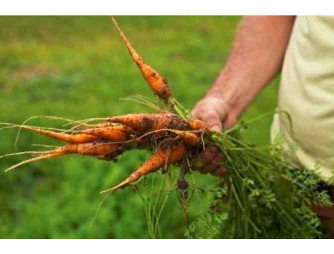 Four Course Farm to Fork Dinner for 6 (Raleigh)