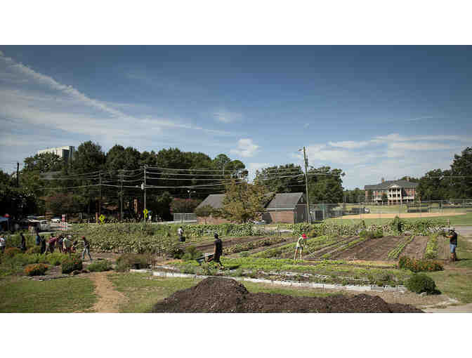 Four Course Farm to Fork Dinner for 6 (Raleigh)