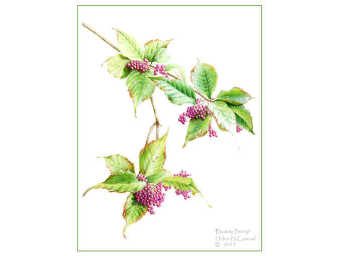 Limited Edition Botanical or Animal Print #2