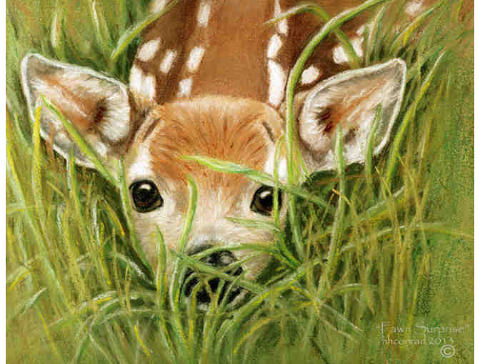 Limited Edition Botanical or Animal Print #2