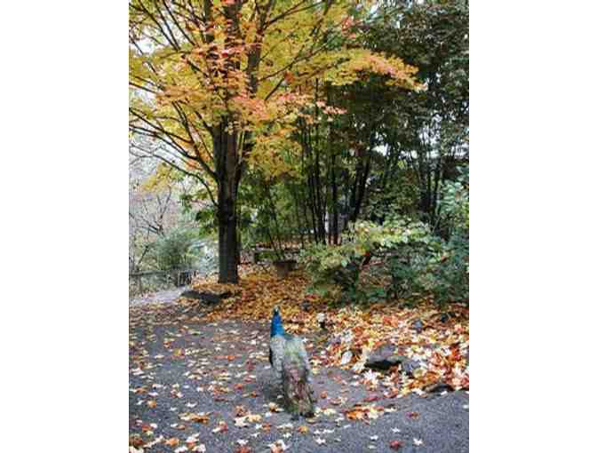 WNC Nature Center Passes and Gift Pack