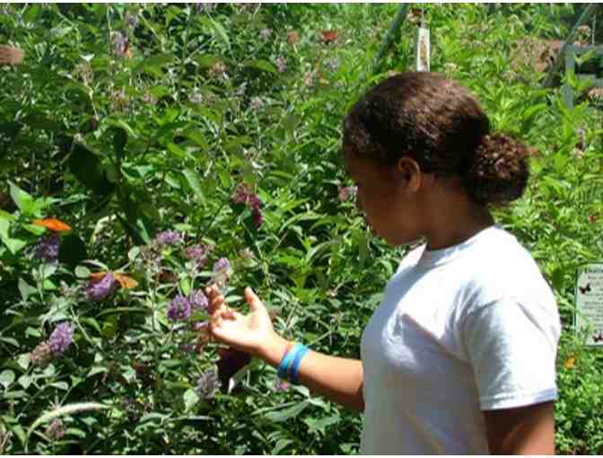 WNC Nature Center Passes and Gift Pack