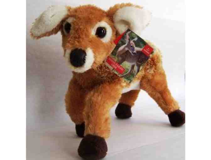 WNC Nature Center Passes and Gift Pack