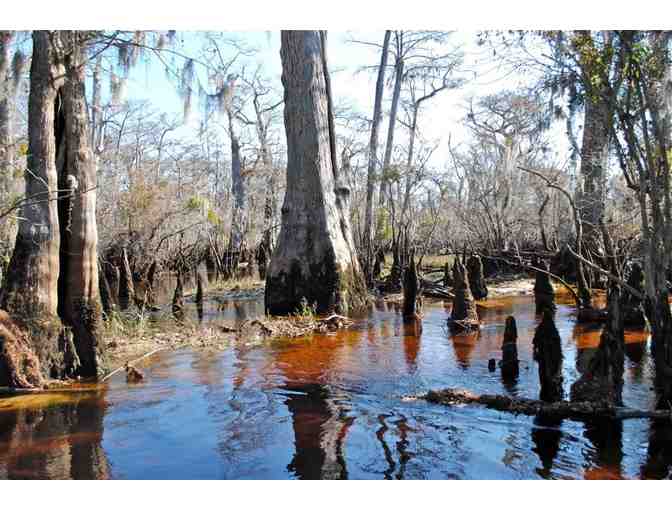 Cape Fear Half-Day River Cruise