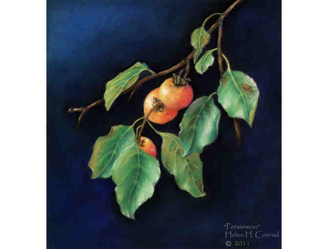 Limited Edition Botanical or Animal Print #1