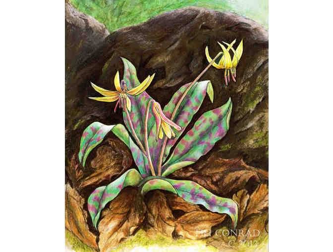 Greeting Cards from Local Artist #3