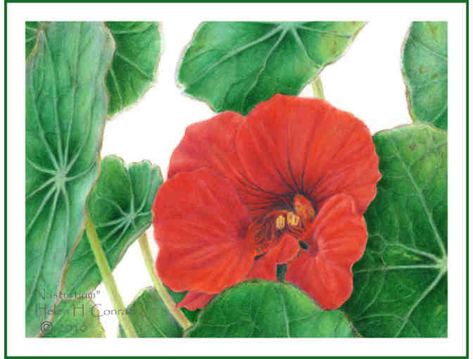 Greeting Cards from Local Artist #4