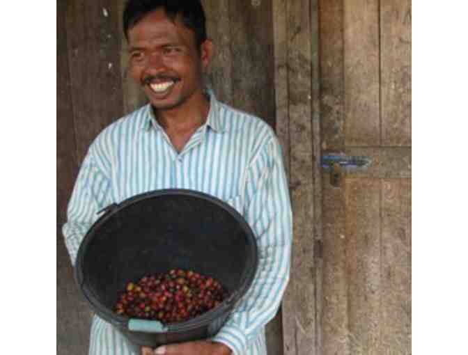 Counter Culture Coffee: 6-Month Single-Origin Subscription