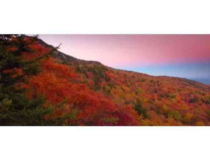Grandfather Mountain, 4 Guest Passes (Linville)