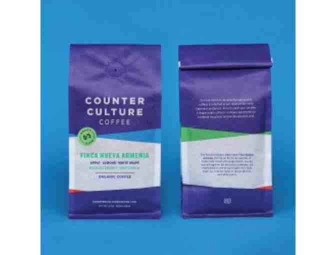 Counter Culture Coffee: 6-Month Single-Origin Subscription #2
