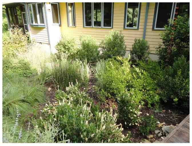 Residential Landscape Consultation (Triangle)