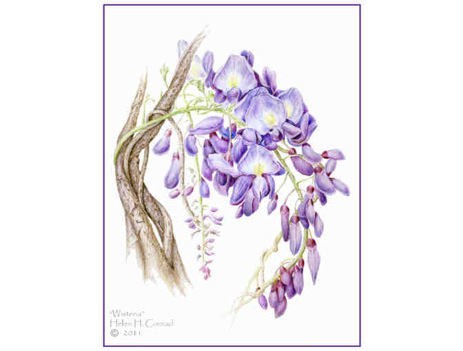 Greeting Cards from Local Artist #1