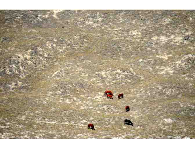 Airplane Tour of the Outer Banks