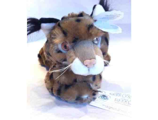 WNC Nature Center Passes and Plush Bobcat