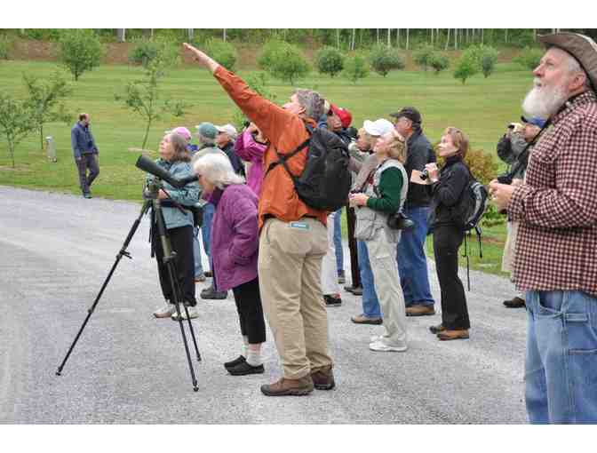 Guided Bird Walk (High Country)