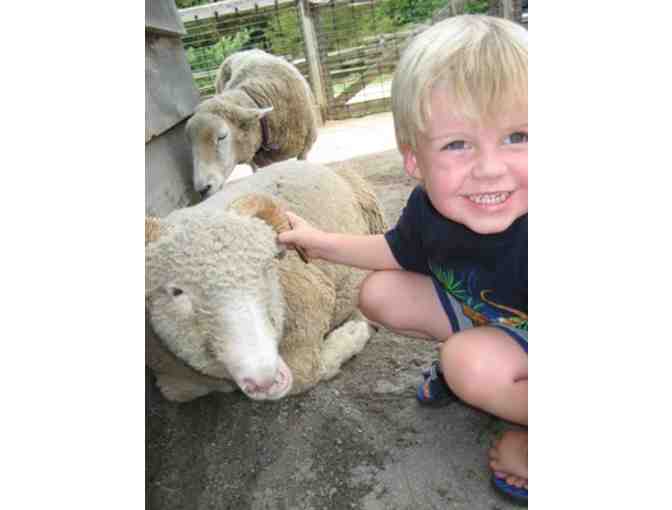 WNC Nature Center Passes and Plush Cougar