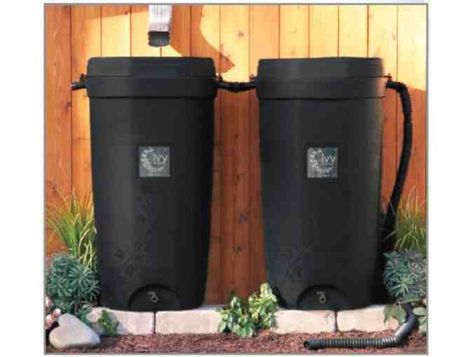 Rain Barrel #2 (Raleigh)