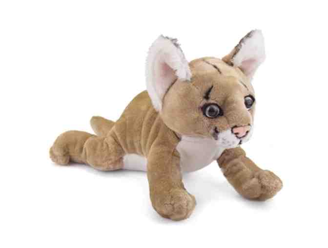 WNC Nature Center Passes and Plush Cougar