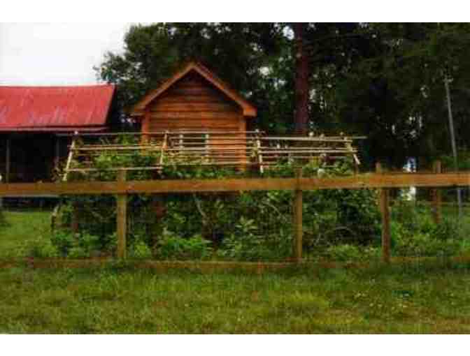Tour at Back-in-Time Farm (Durham County)