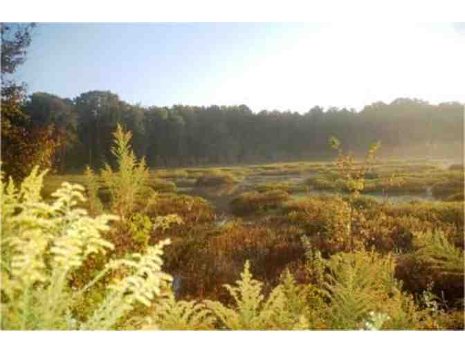 Durham Natural History Walk