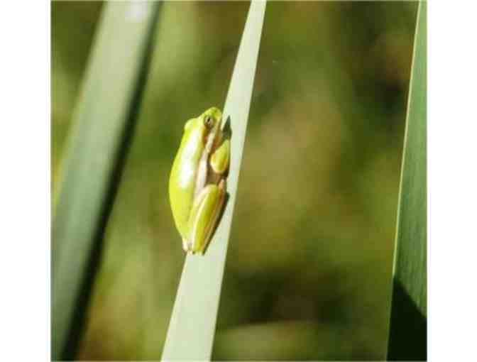 Durham Natural History Walk