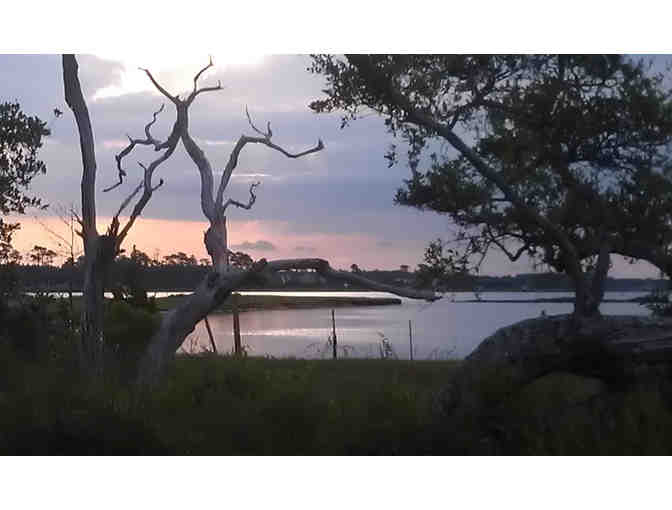 Croatan National Forest Hike & Waterfront Dinner