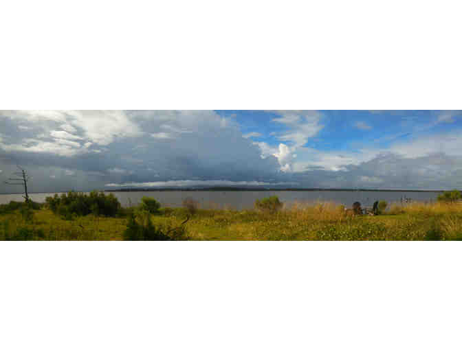 Croatan National Forest Hike & Waterfront Dinner