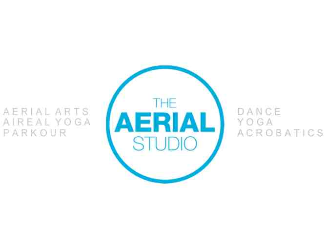 The Aerial Studio - 1 Adult Class and 1 Child Class