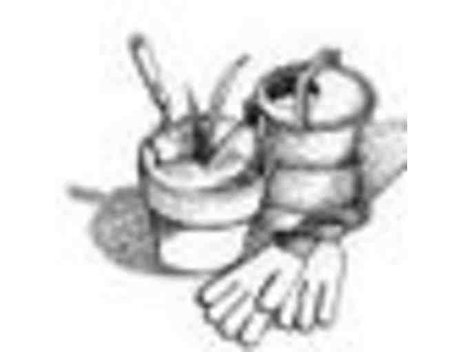 2 Hour Garden Consultation of Your Property