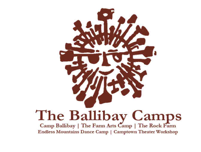 Camp Ballibay Summer Arts Voucher