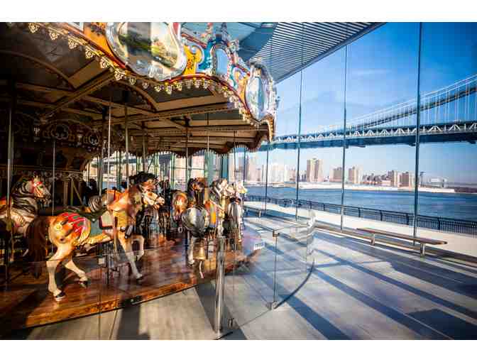 Jane's Carousel 25 Rides