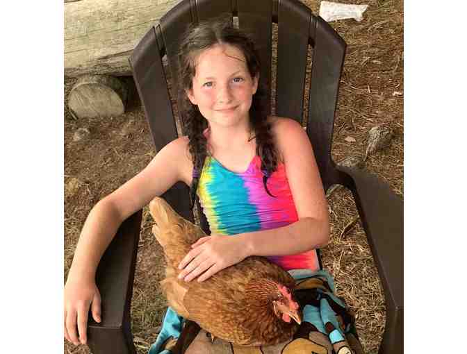 Camp Roosevelt Firebird - $1325 off a 2 Week Session