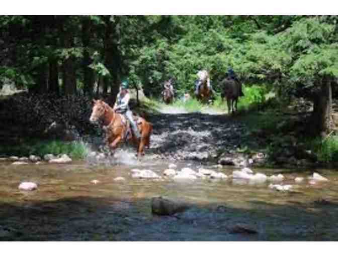 One Week of Horse Trails Camp at Frost Valley