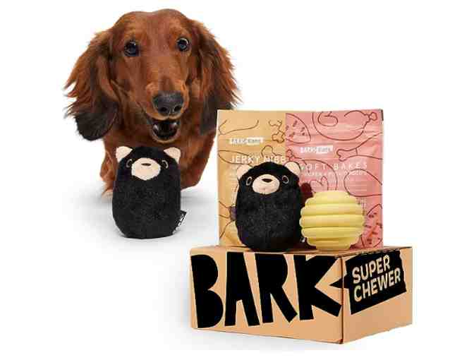 BarkBox - 1 Super Chewer Box - Photo 3
