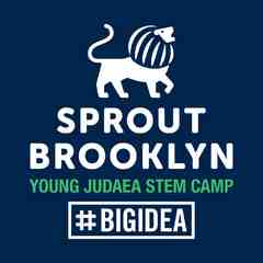 #BIGIDEA@Sprout Brooklyn STEM Camp