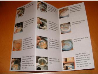 Your Choice of 10 Packs of Heirloom Tomato Seeds