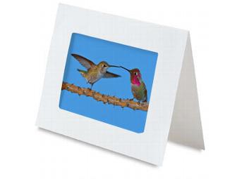 Set of 4 Hummingbird Greeting Cards