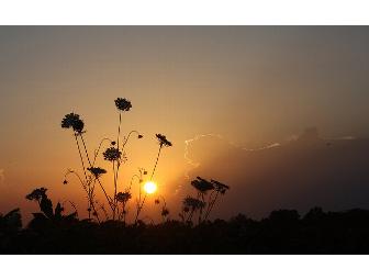 Framed Photo - Your Choice!