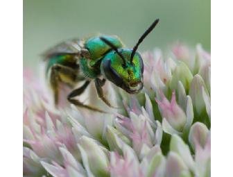 Framed Photo - Your Choice!