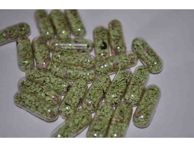 Seed Pills for Guerilla Gardening