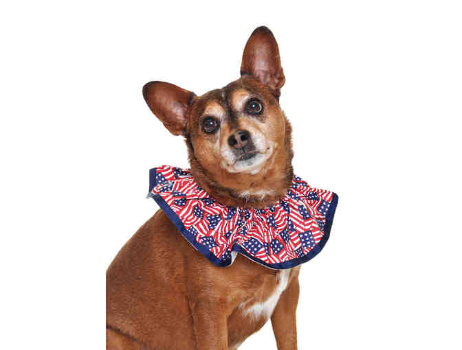 Patriotic Pup Rrruffler - Size Small