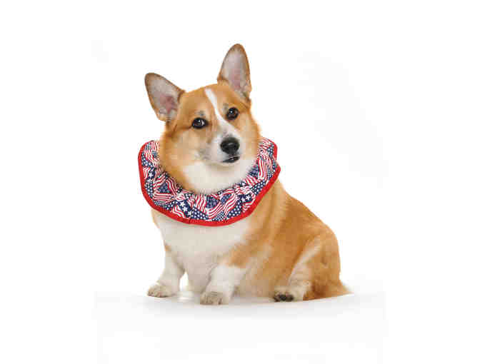Patriotic Pup Rrruffler - Size Large