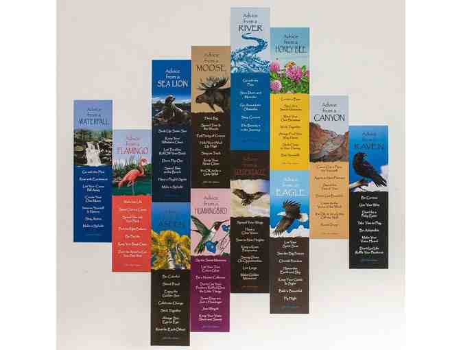 Advice from the Wilderness Gift Box