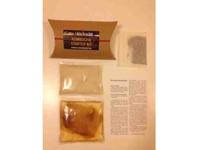 Kombucha Starter Kit