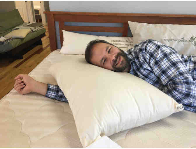 Pair of Standard Wool Pillows