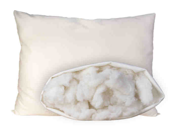Pair of Standard Wool Pillows