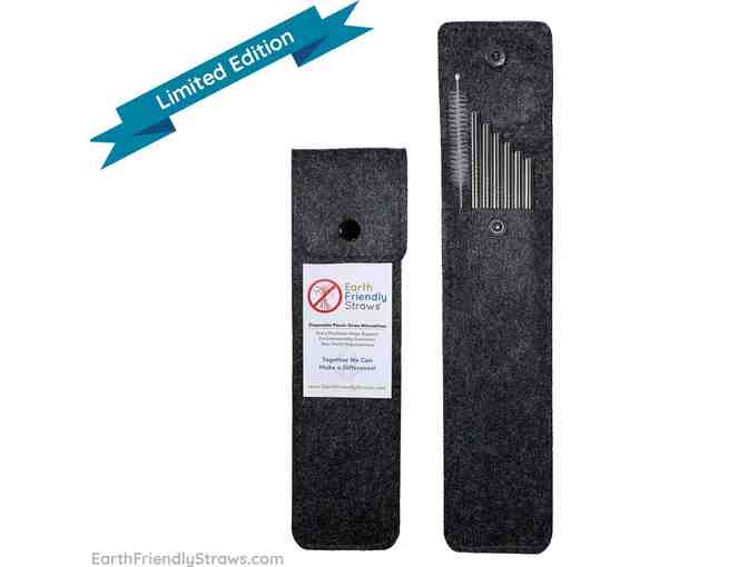 Earth Friendly Straws Cocktail Straw Gift Set