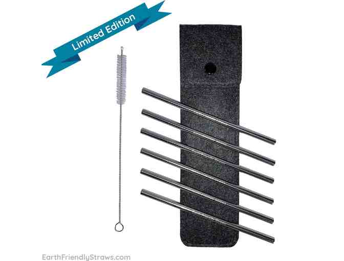 Earth Friendly Straws Cocktail Straw Gift Set