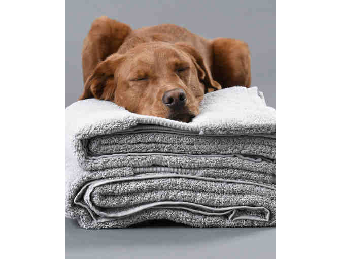 Delilah Home 100% Organic Cotton Bath Towels-6pc set