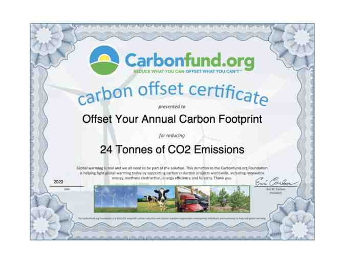 Annual Lifestyle Emissions Offset - Individual - Photo 1